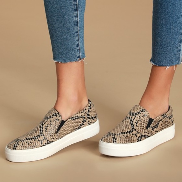 gills sneaker steve madden